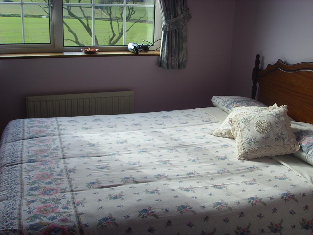 Springfield House B&B Clonakilty Pokoj fotografie
